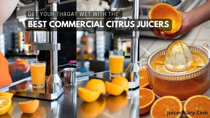 Best Commercial Citrus Juicers