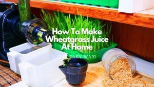 how to make wheatgrass juice at home with or without a juicer