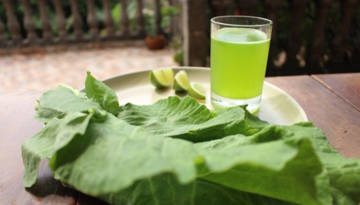 how to make cabbage juice with a juicer