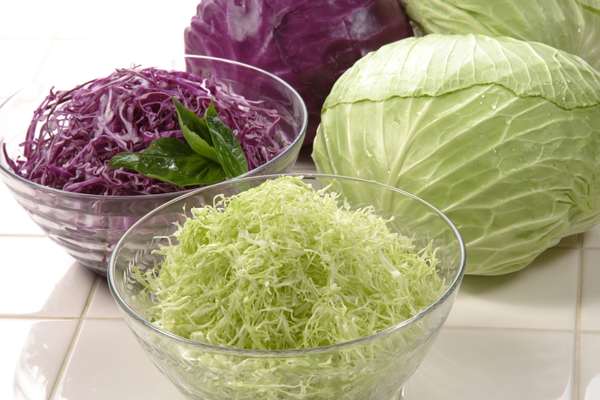 red vs green cabbage is more healthier