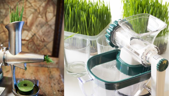 various model of wheatgrass juicer