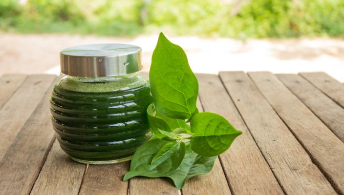 how to make spinach juice with a juicer